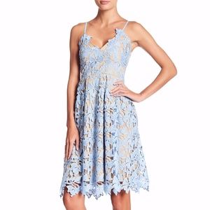 Love... Ady Light Blue Lace Fit & Flare Dress